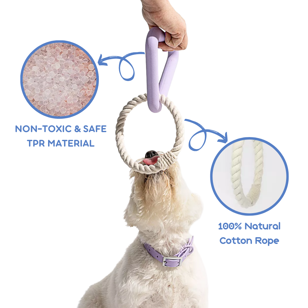 Interactive Triangle Dog Toy