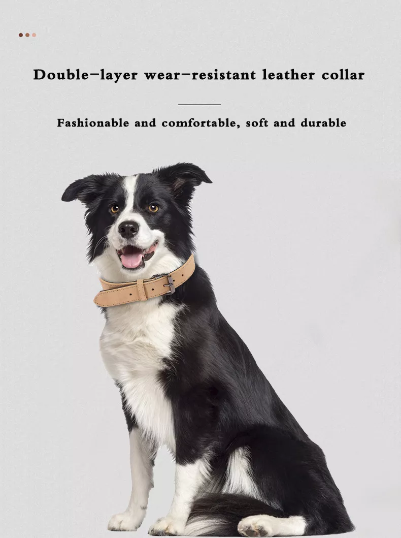 Dog & Cat Leatherette Collar