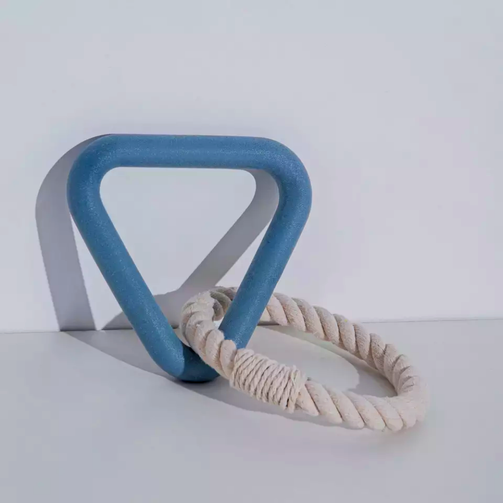 Interactive Triangle Dog Toy