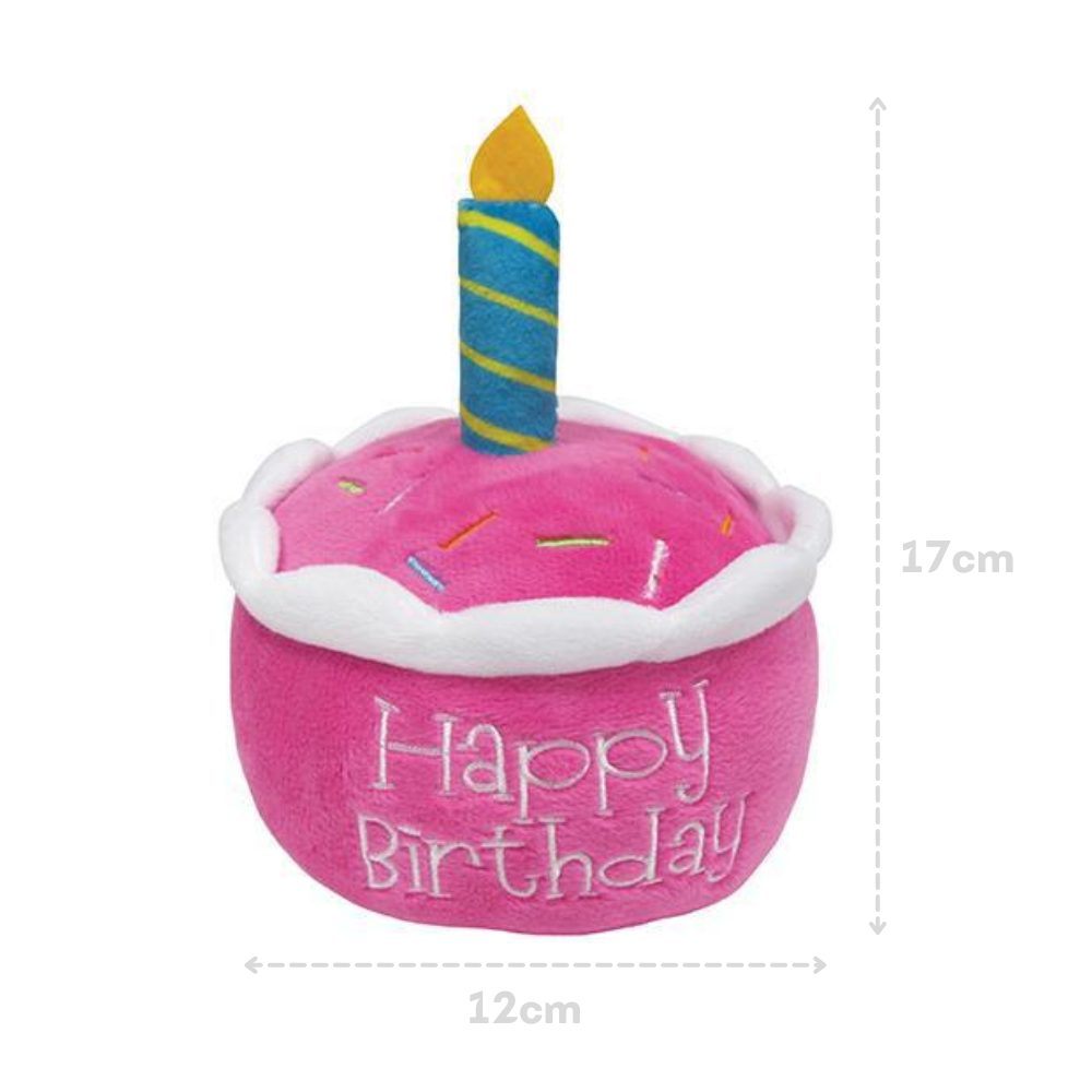 Happy Birthday Cake Toy